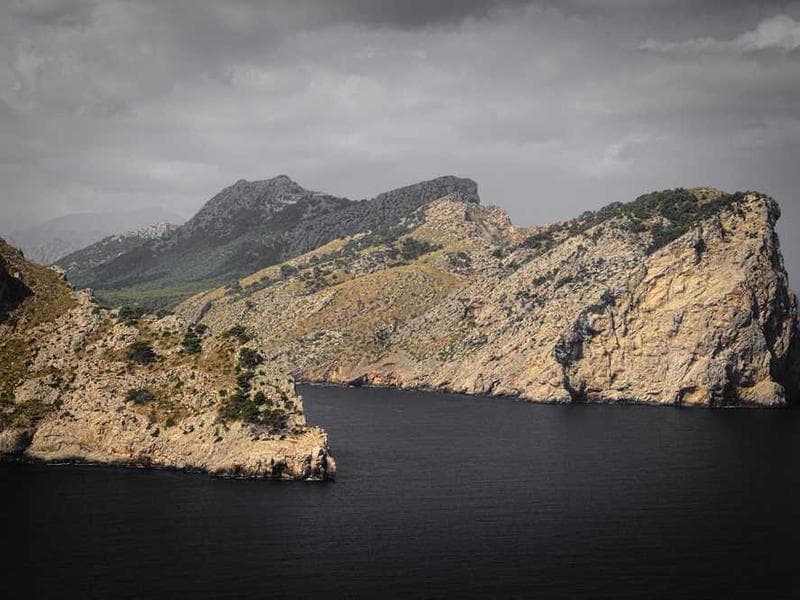 Social Networking MVP